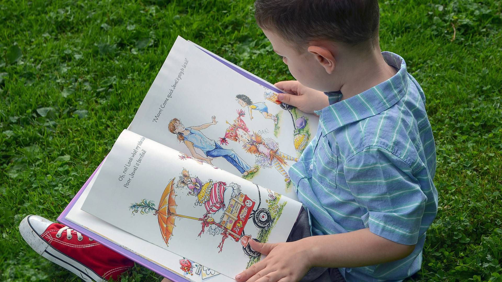 despertar interes lectura infants Sant Jordi
