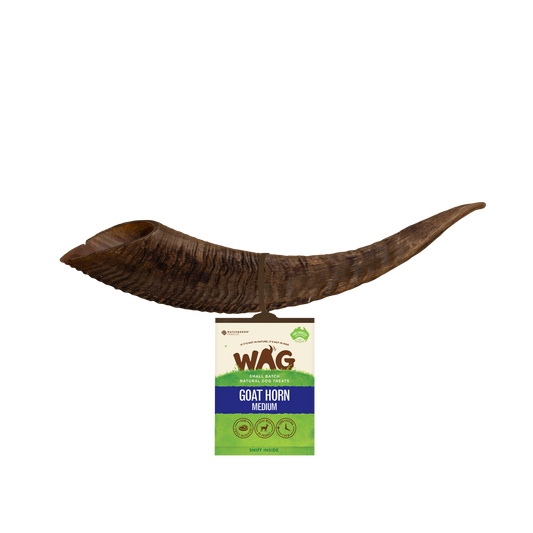 Goat Horn