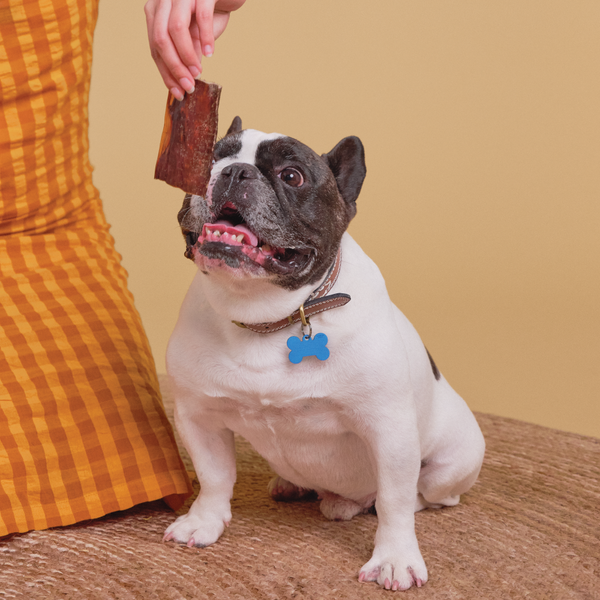 Not for jerks, just for dogs!